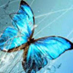 Meet your Posher, Donnelle